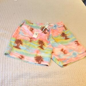 Colorful Palm Tree Swim Shorts